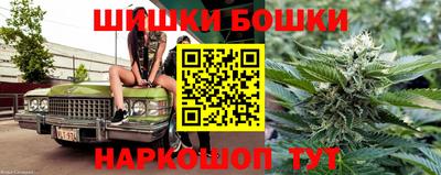 амф Кандалакша