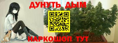 метадон Кингисепп