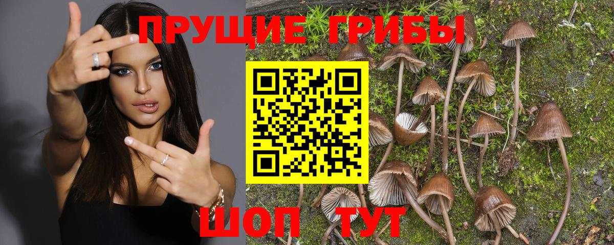 Псилоцибиновые грибы GOLDEN TEACHER Лабытнанги