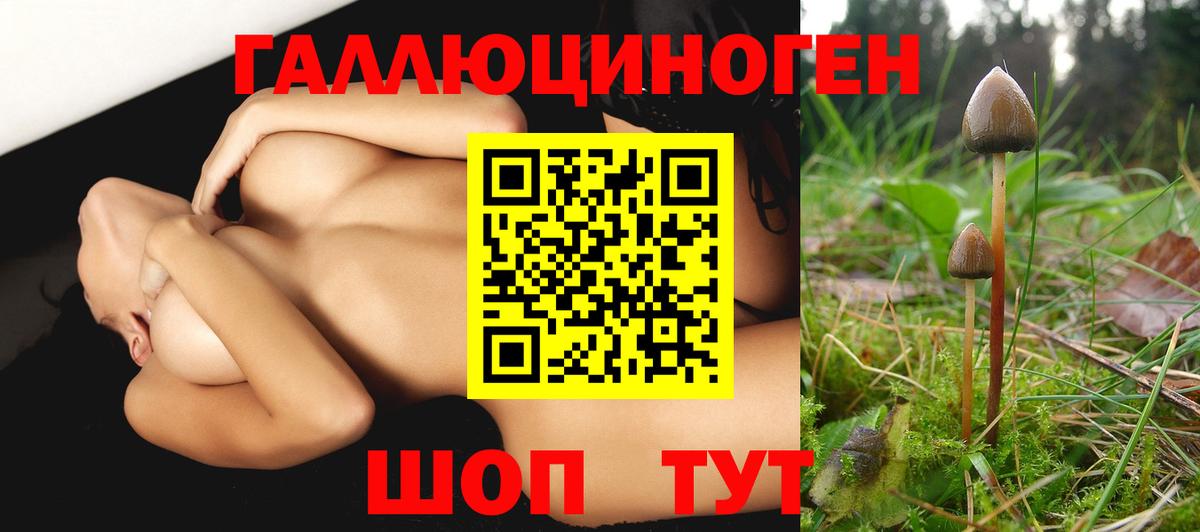 Лабытнанги  Галлюциногенные грибы мухоморы  Галлюциногенные грибы Psilocybine cubensis  Вход с VPN 